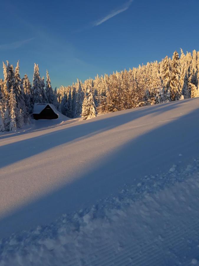 Chata Stred Kubinska Hola Dolny Kubin Exteriér fotografie