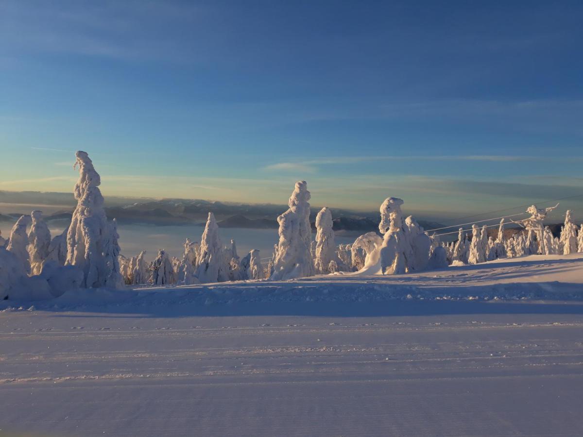 Chata Stred Kubinska Hola Dolny Kubin Exteriér fotografie